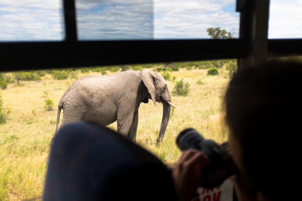 On Safari in South Africa (1-9 November 2025) - Image 2