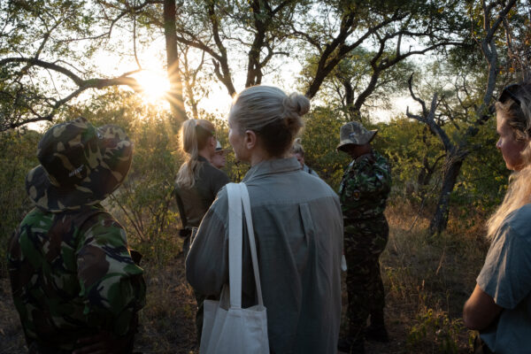 On Safari in South Africa (1-9 November 2025) - Image 3