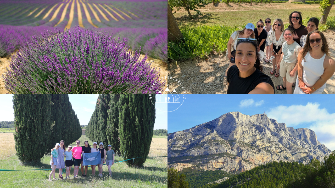 PROVENCE (2)